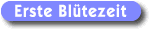 Erste Blütezeit