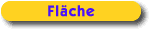 Fläche