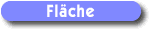 Fläche