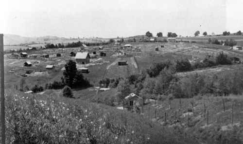 Hammerlwiese